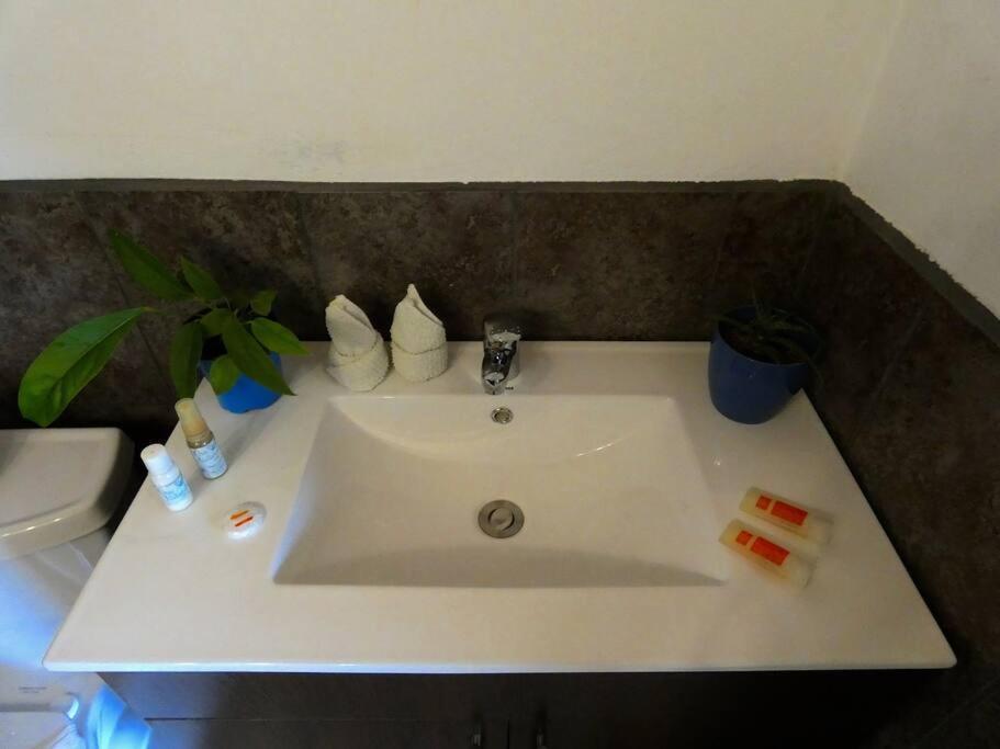 Tapiru'S House - Bahia Drake Apartment Drake Bay ภายนอก รูปภาพ