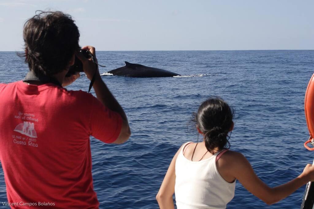 Tapiru'S House - Bahia Drake Apartment Drake Bay ภายนอก รูปภาพ