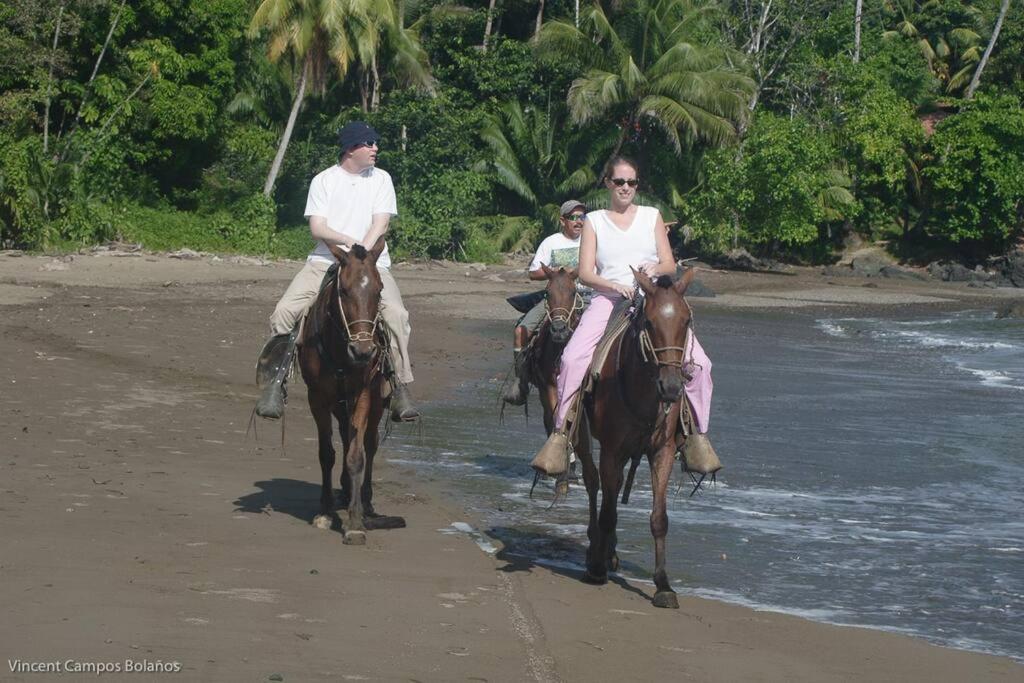 Tapiru'S House - Bahia Drake Apartment Drake Bay ภายนอก รูปภาพ
