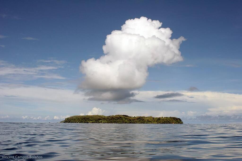 Tapiru'S House - Bahia Drake Apartment Drake Bay ภายนอก รูปภาพ