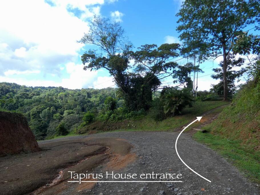 Tapiru'S House - Bahia Drake Apartment Drake Bay ภายนอก รูปภาพ