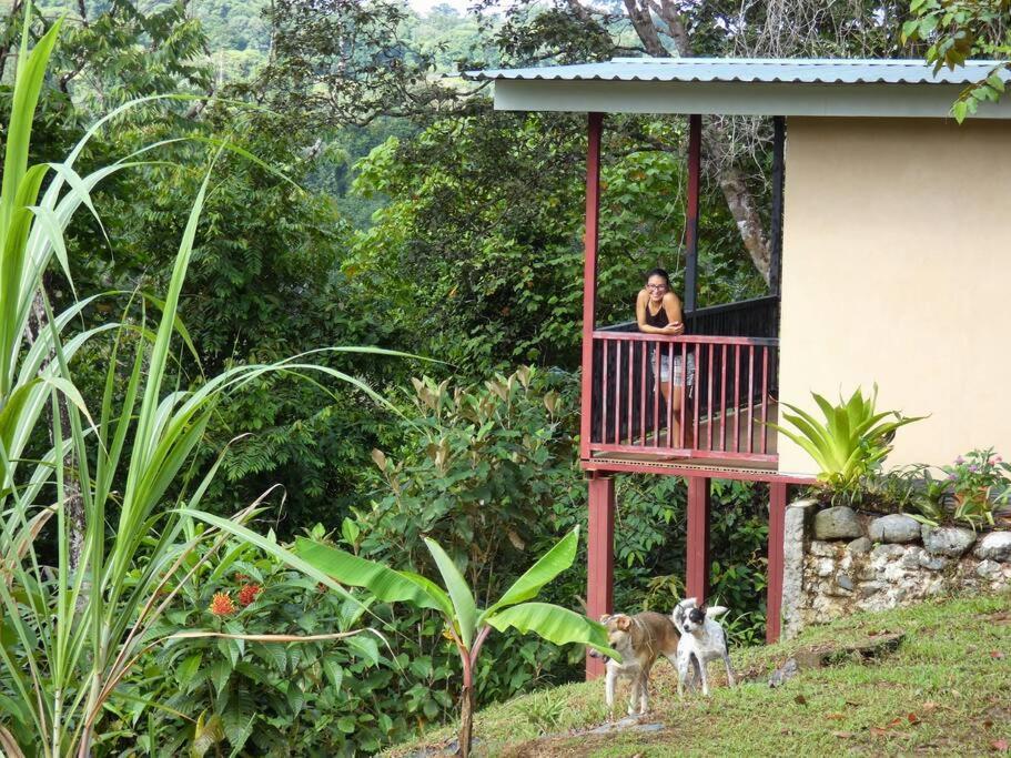 Tapiru'S House - Bahia Drake Apartment Drake Bay ภายนอก รูปภาพ