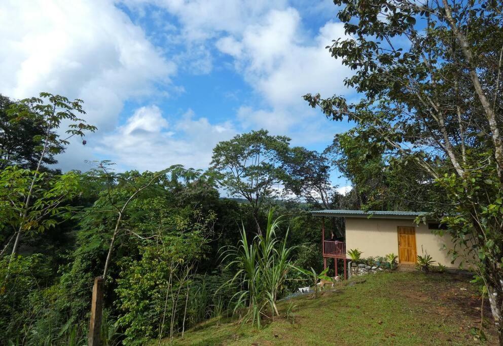 Tapiru'S House - Bahia Drake Apartment Drake Bay ภายนอก รูปภาพ