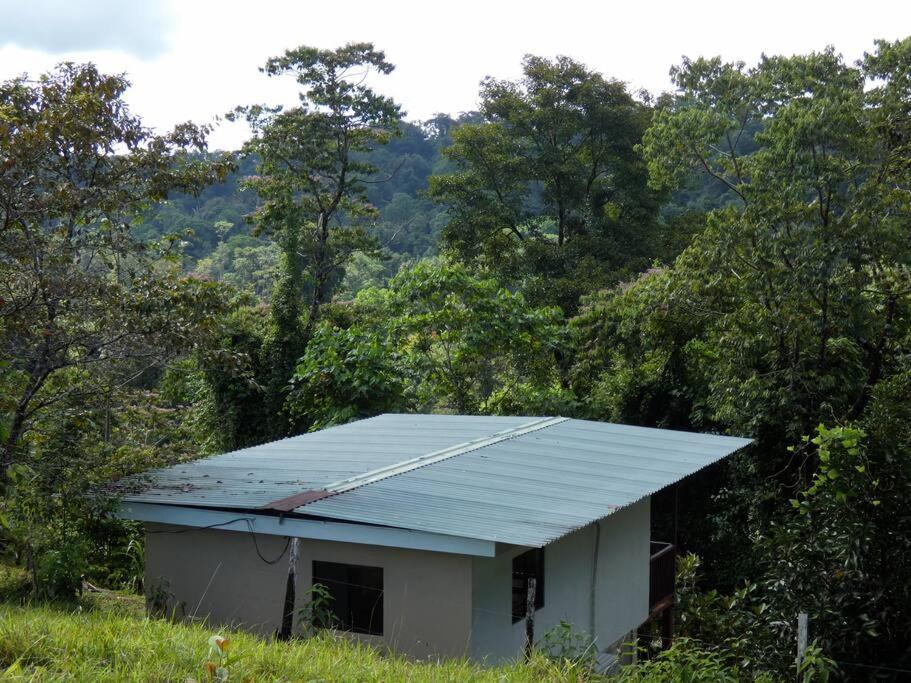 Tapiru'S House - Bahia Drake Apartment Drake Bay ภายนอก รูปภาพ